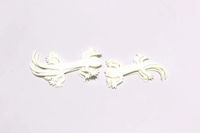Cohen's Lizzard Tails