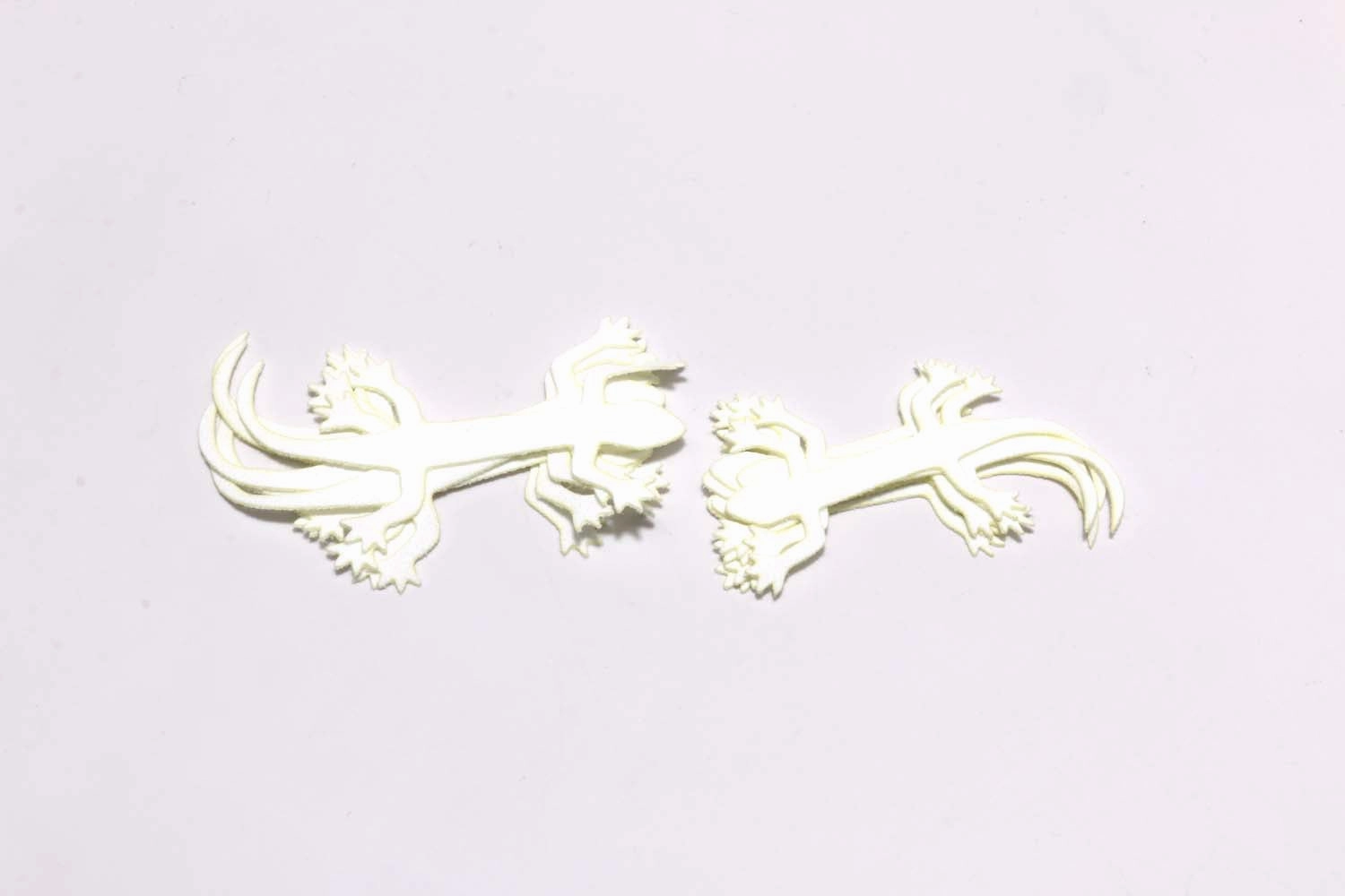 Cohen's Lizzard Tails