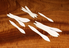 Cohen's Paddle Tail