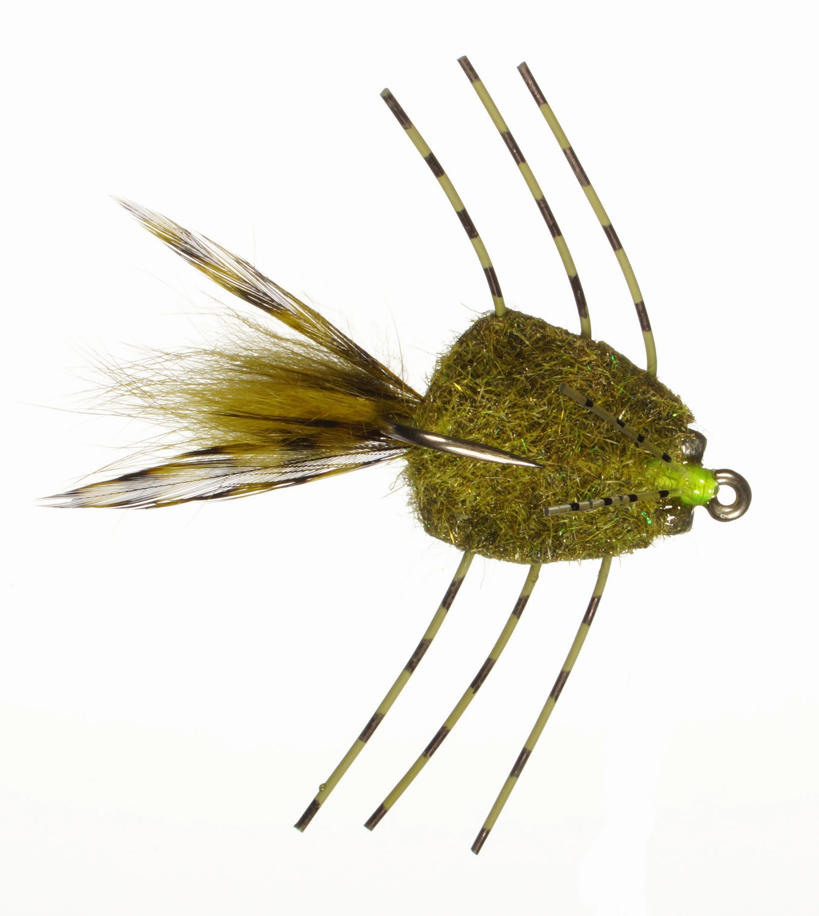 Colby's Casa Blanca Raghead Permit Crab