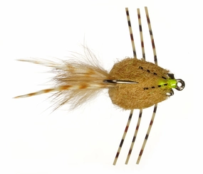 Colby's Casa Blanca Raghead Permit Crab