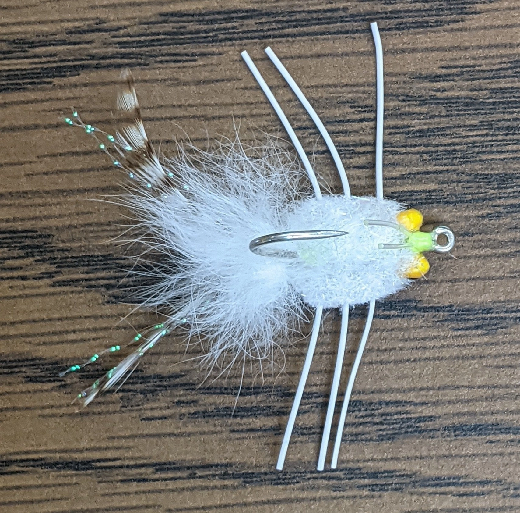 Colby's Casa Blanca Raghead Permit Crab