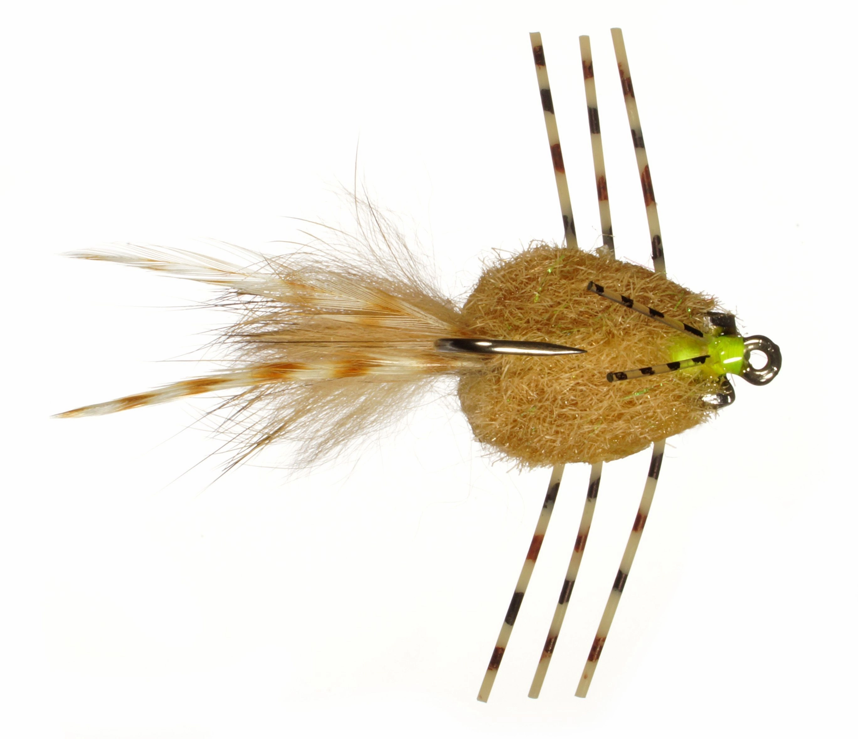 Colby's Casa Blanca Raghead Permit Crab