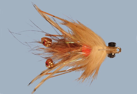 Colby's Closer Crab
