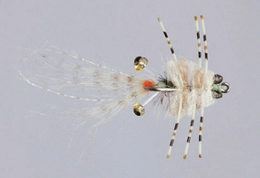 Colby's Tan Corona Crab