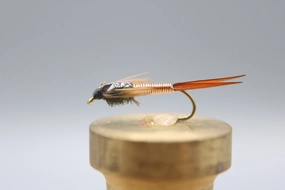 Copper John