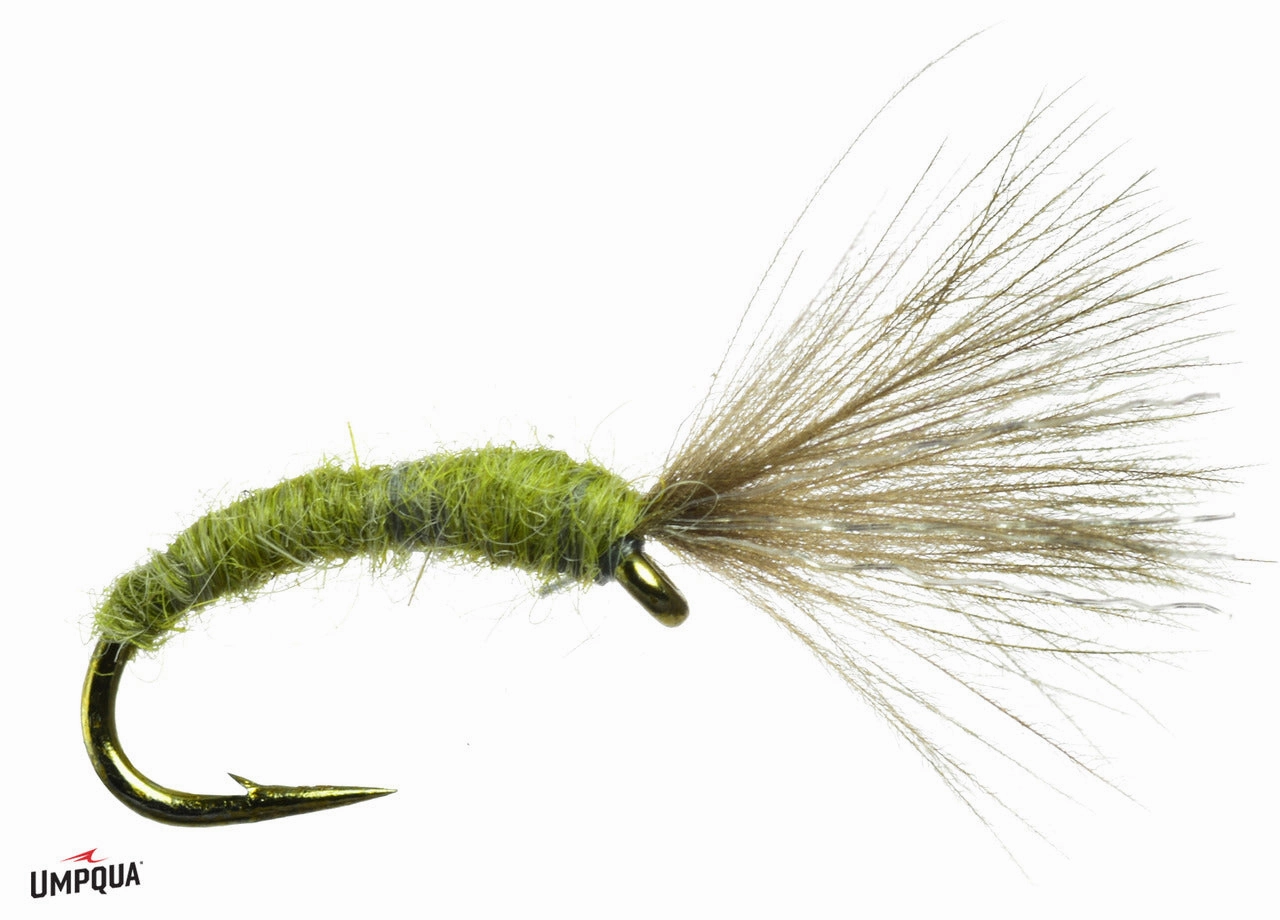 Craven's Mole Fly