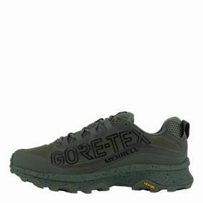 Streetwear Footwear Standing Comfort Moab Speed Gtx Se Lichen
