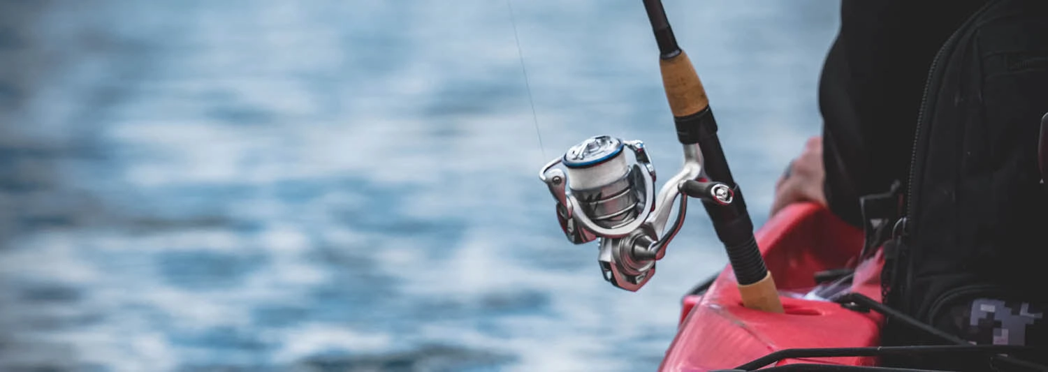 Daiwa Procyon MQ LT Spinning Reel