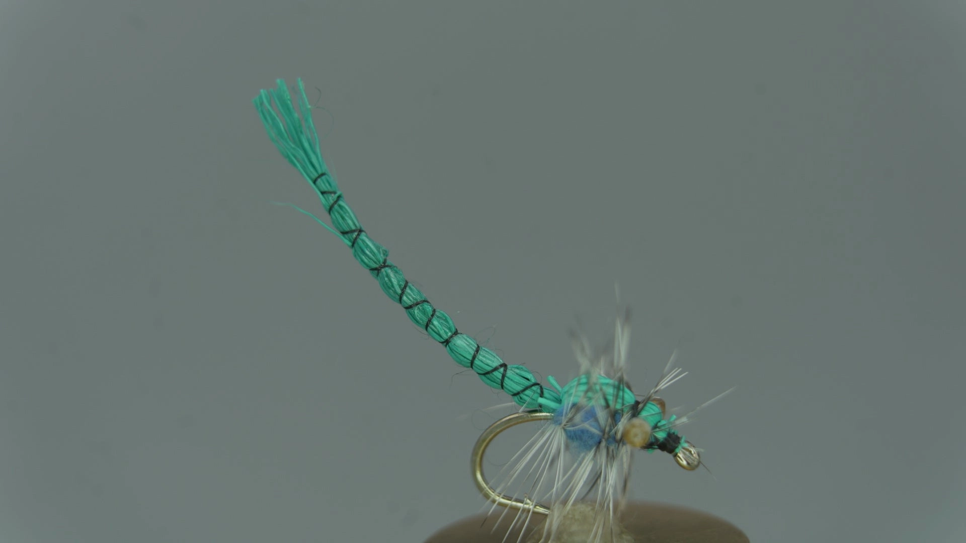 Damsel Fly
