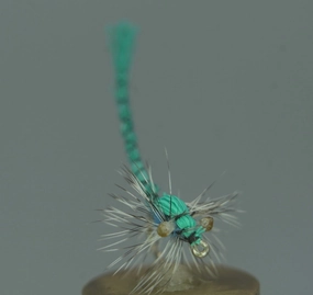 Damsel Fly