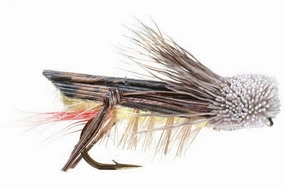 DAVE'S HOPPER
