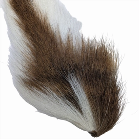 Doe Tail - Veniard