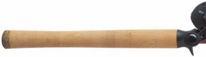 Eagle Claw EC2.5 Baitcasting Combo