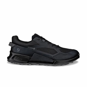 Travel Shoes Ecco Biom 2.1 X Mountain Men