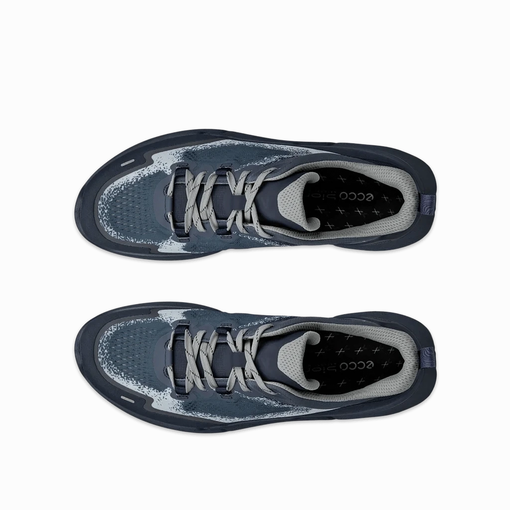 Ecco Biom 2.2 Men All Weather