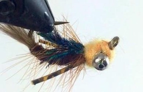 Egan's Carp Headstand size 8