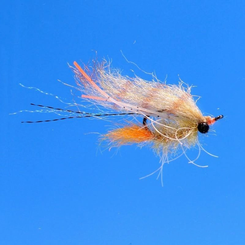 EP Bahamas Shrimp