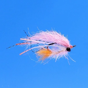 EP Bahamas Shrimp