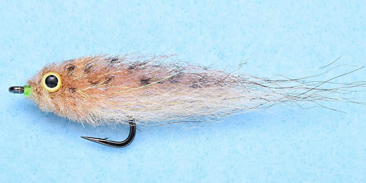 EP Mud Minnow #2