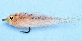 EP Mud Minnow #2