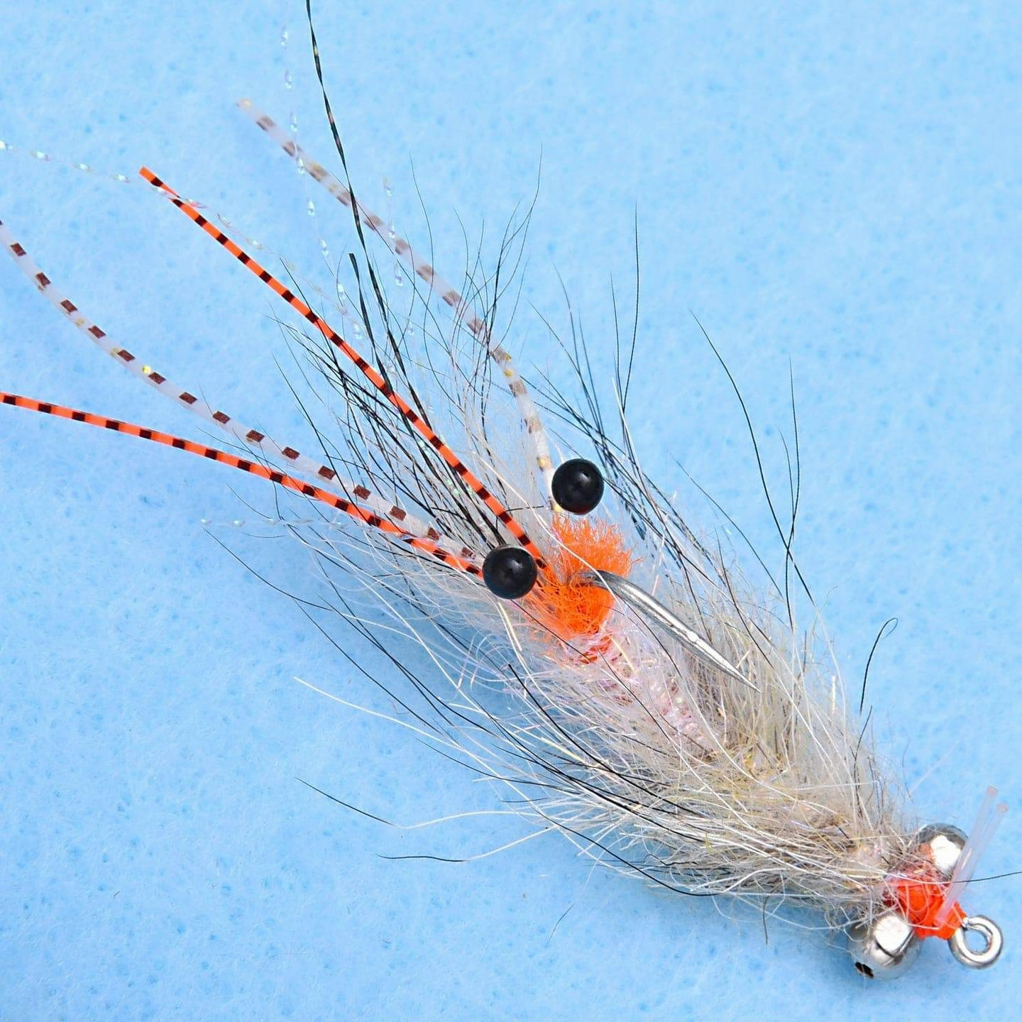 EP Spawning Shrimp