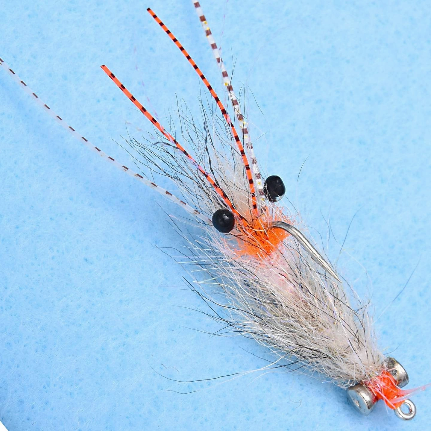 EP Spawning Shrimp