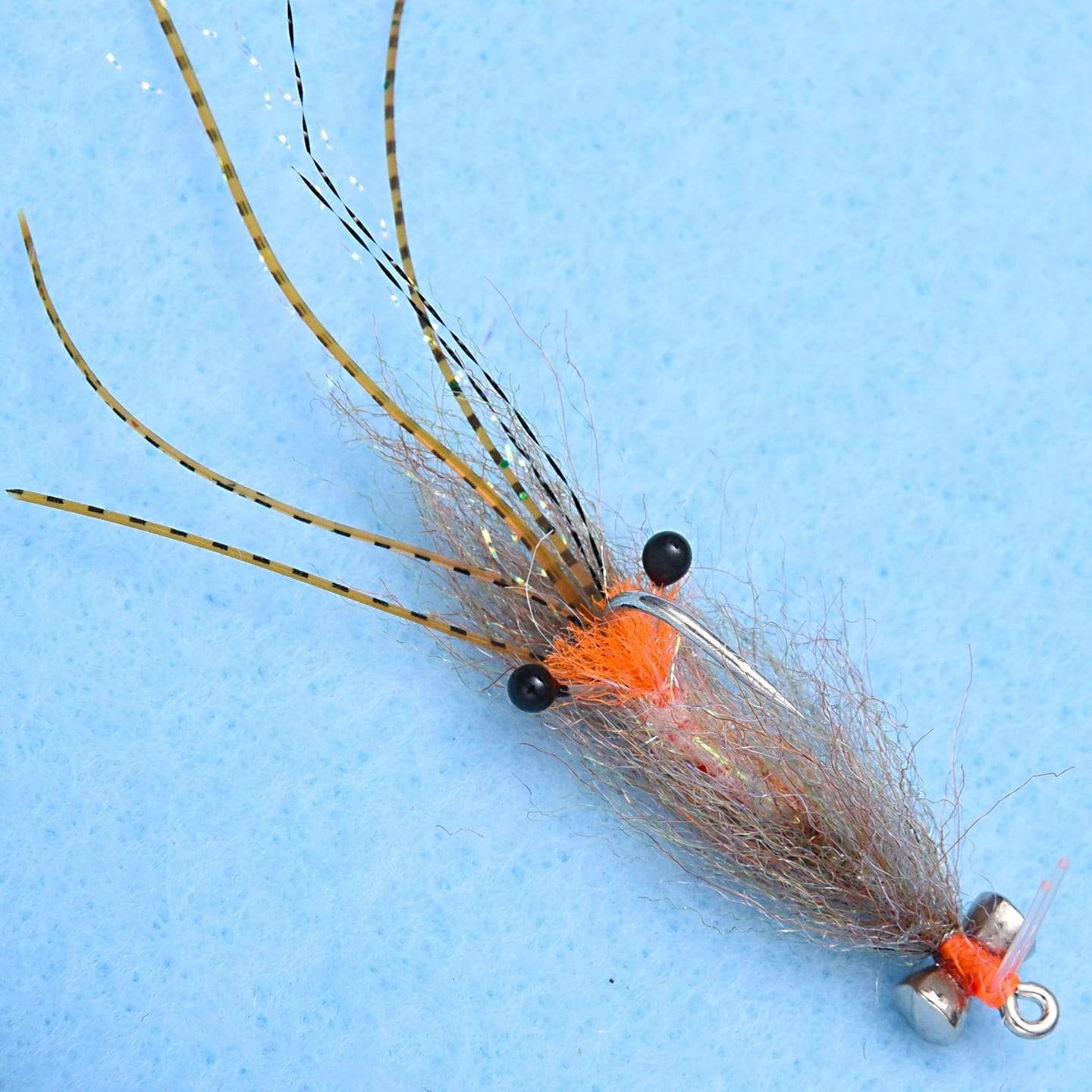 EP Spawning Shrimp
