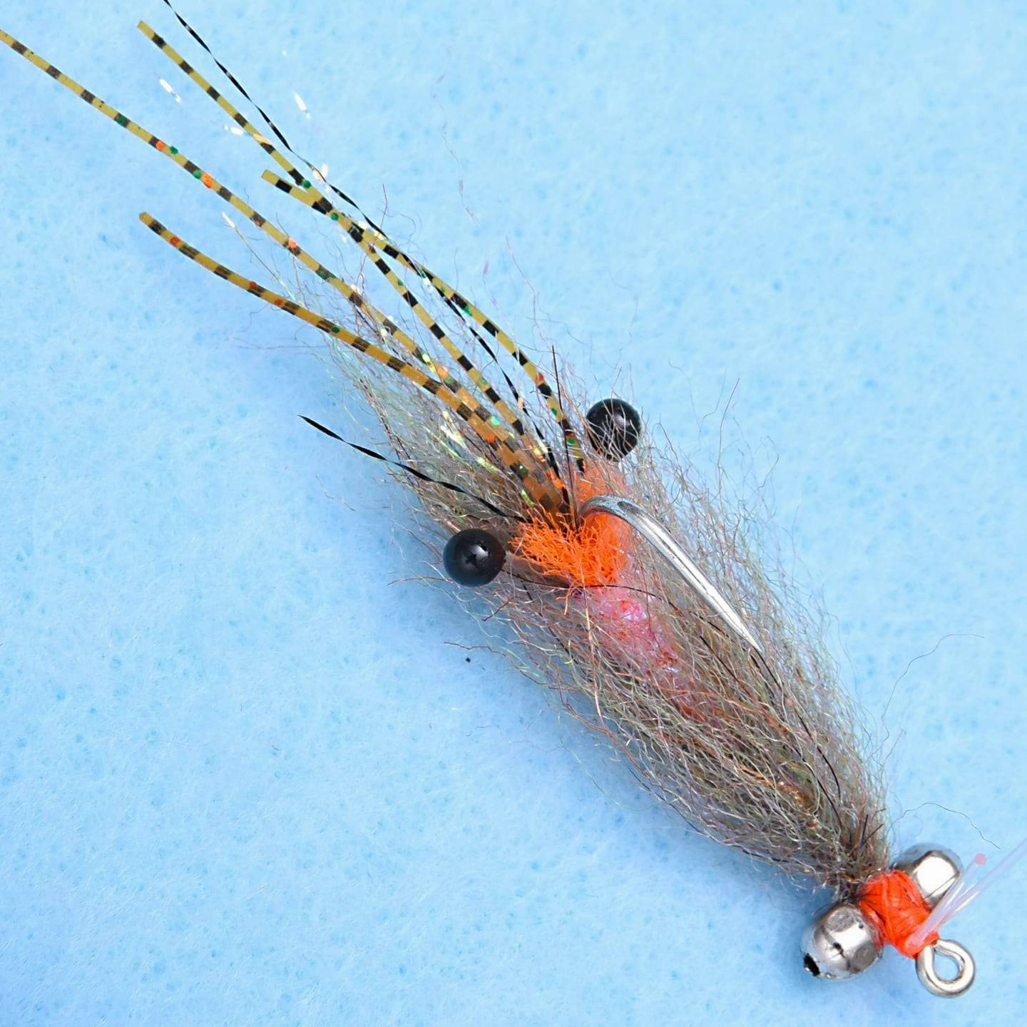 EP Spawning Shrimp