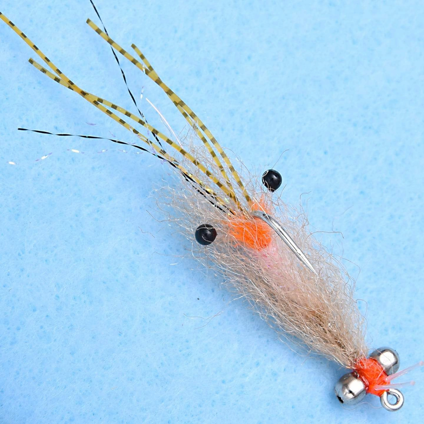 EP Spawning Shrimp