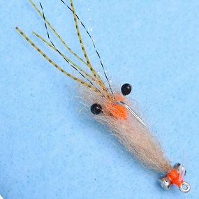 EP Spawning Shrimp