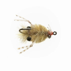 EP Turneffe Micro Crab #8