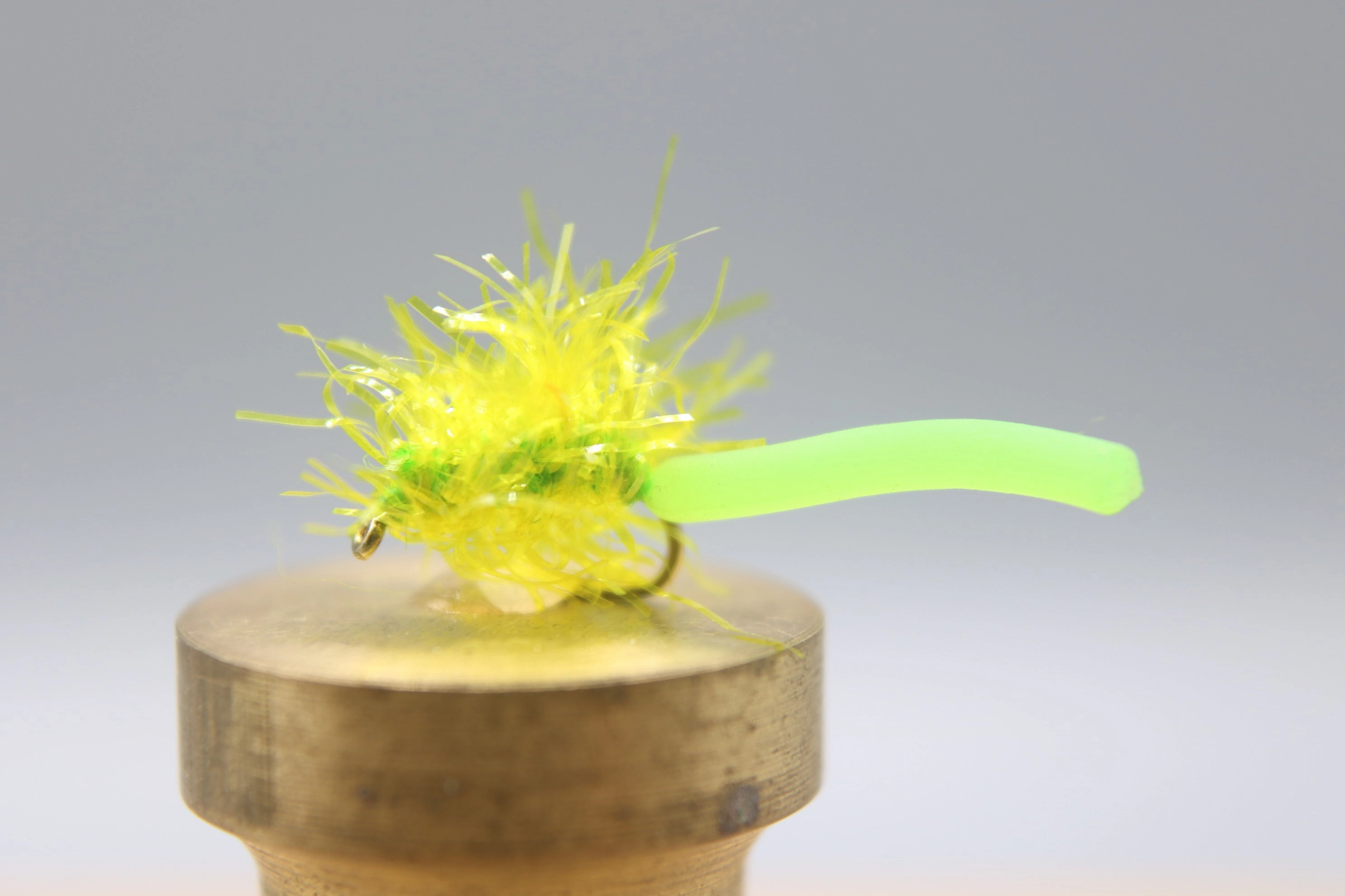 Estaztic Squirm