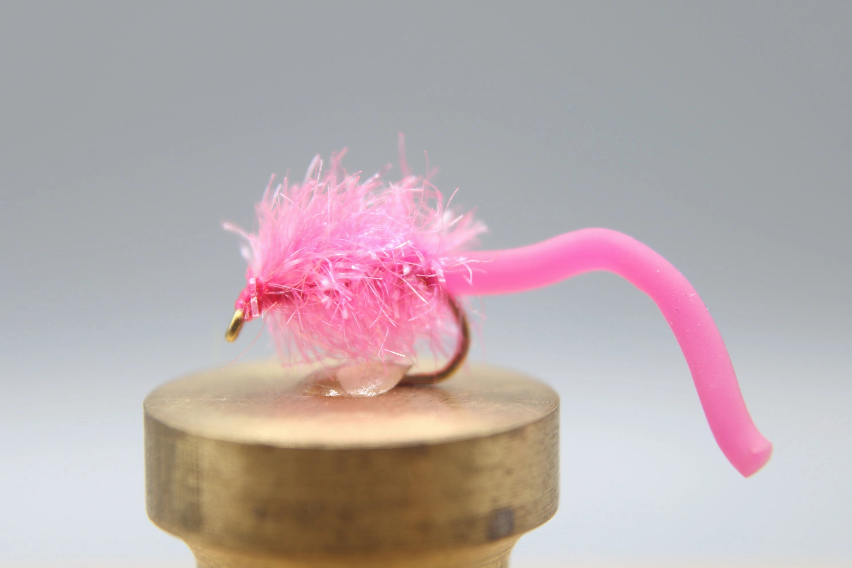 Estaztic Squirm