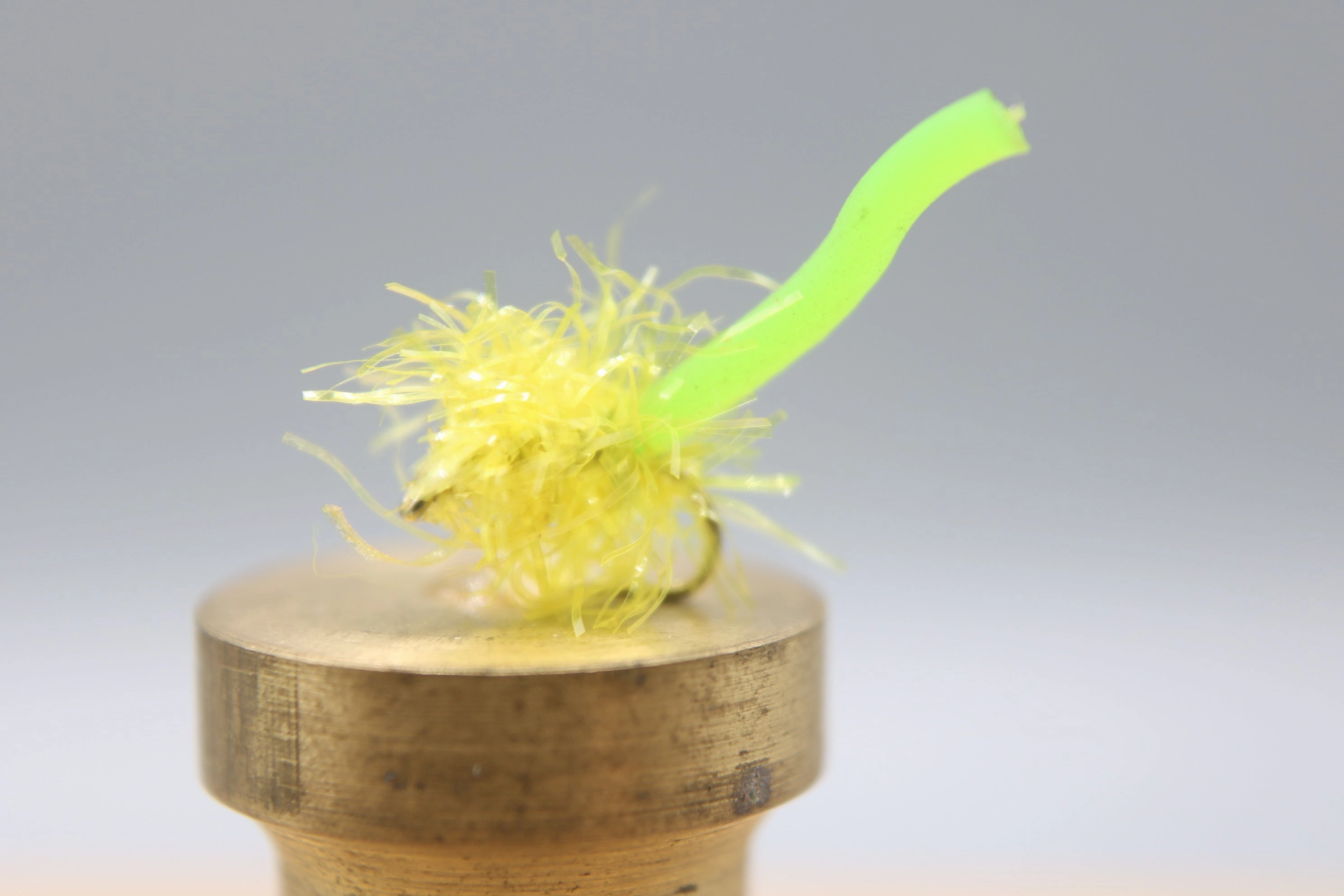 Estaztic Squirm
