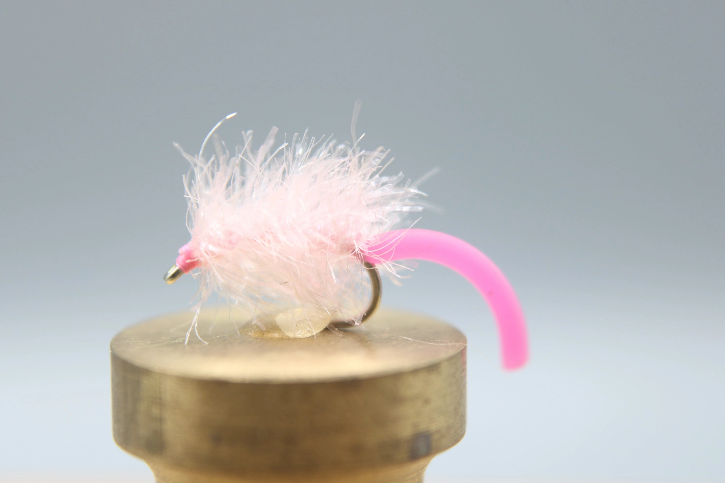 Estaztic Squirm