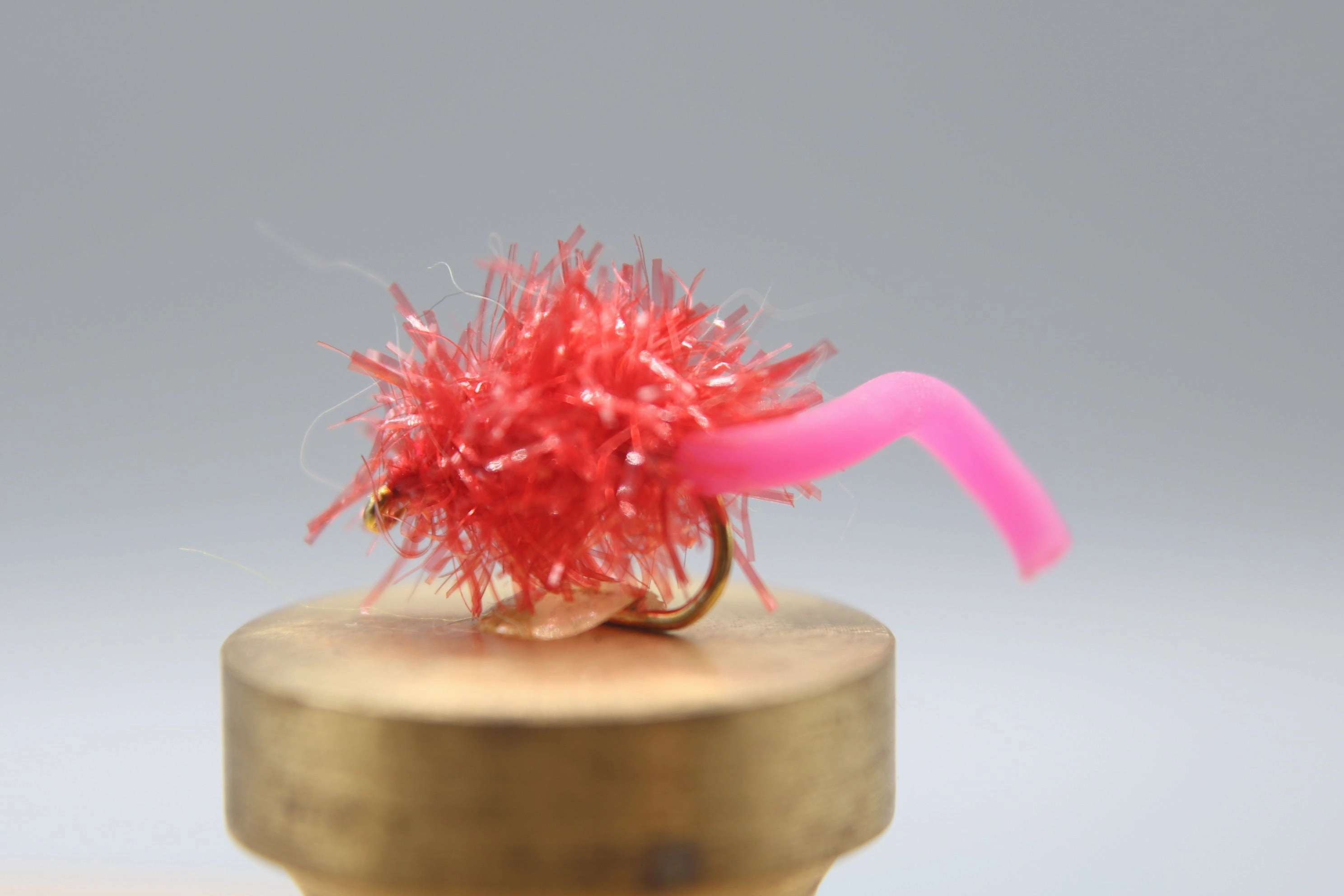 Estaztic Squirm