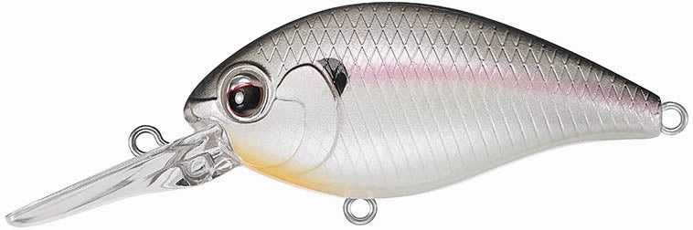 Evergreen International CR-8 Medium Diving Crankbait