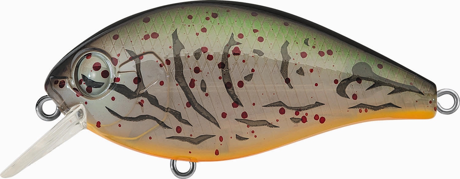 Evergreen International SH-3 Shallow Squarebill Crankbait