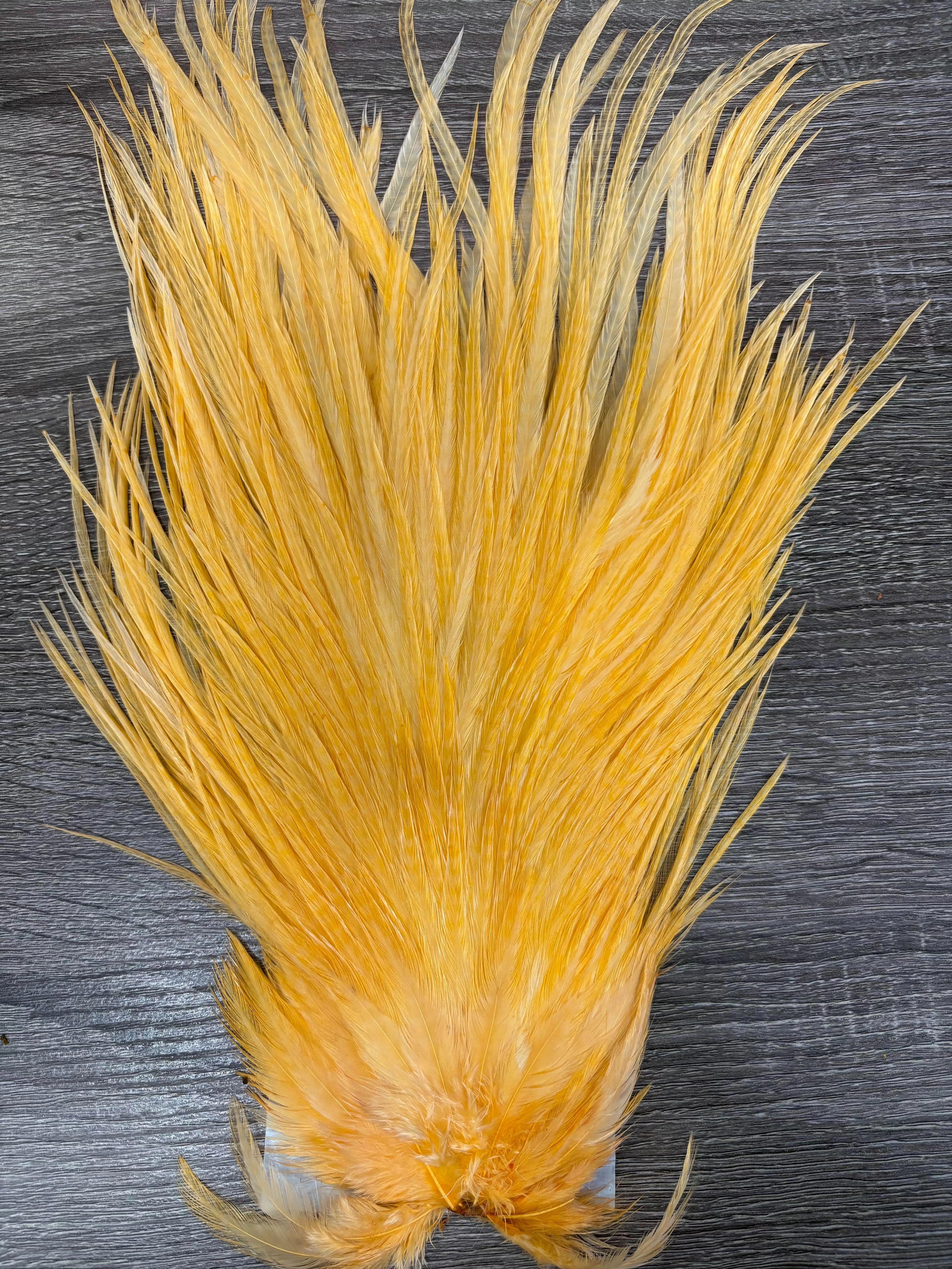 Ewing Saddle Hackle