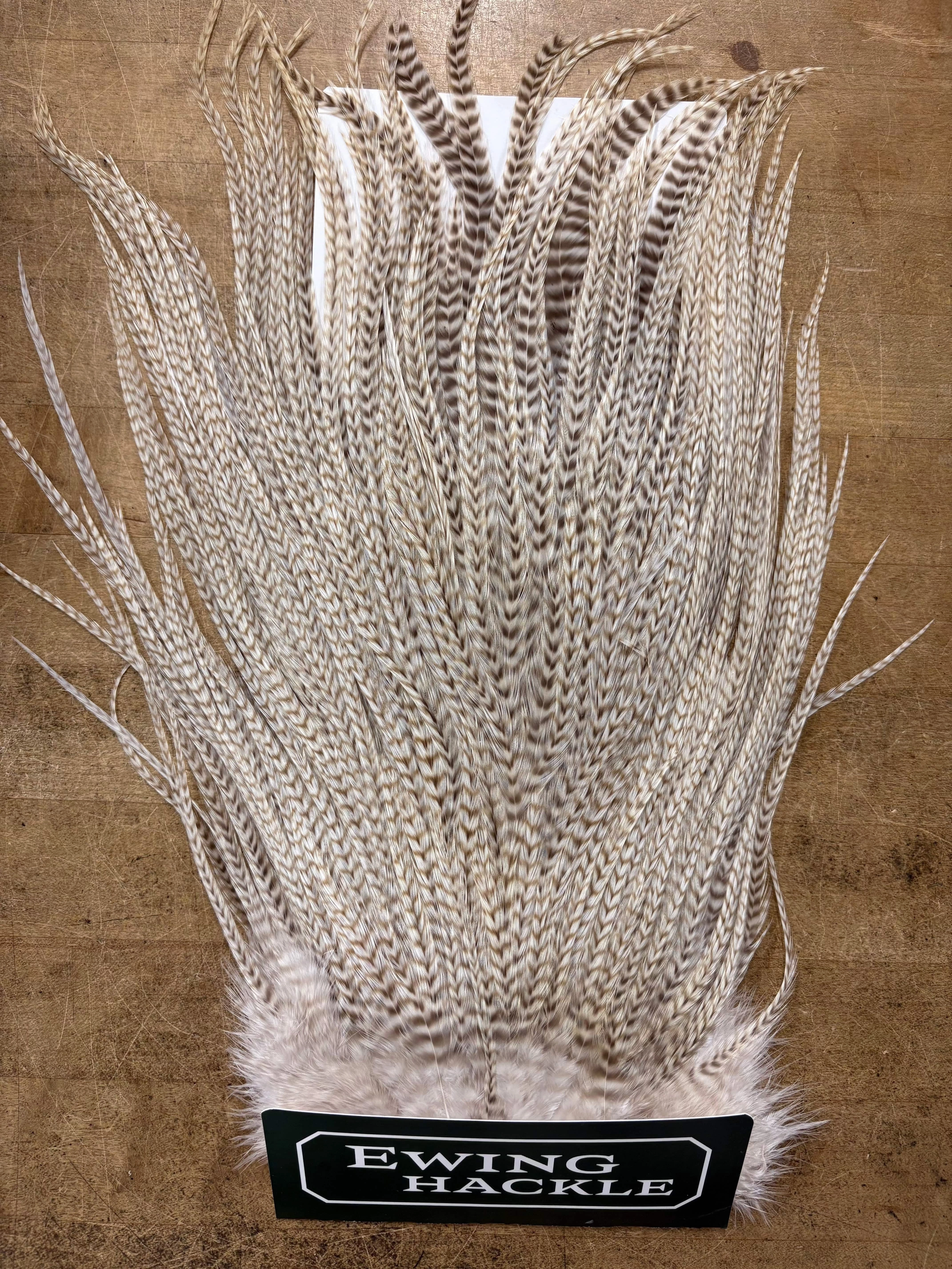 Ewing Saddle Hackle