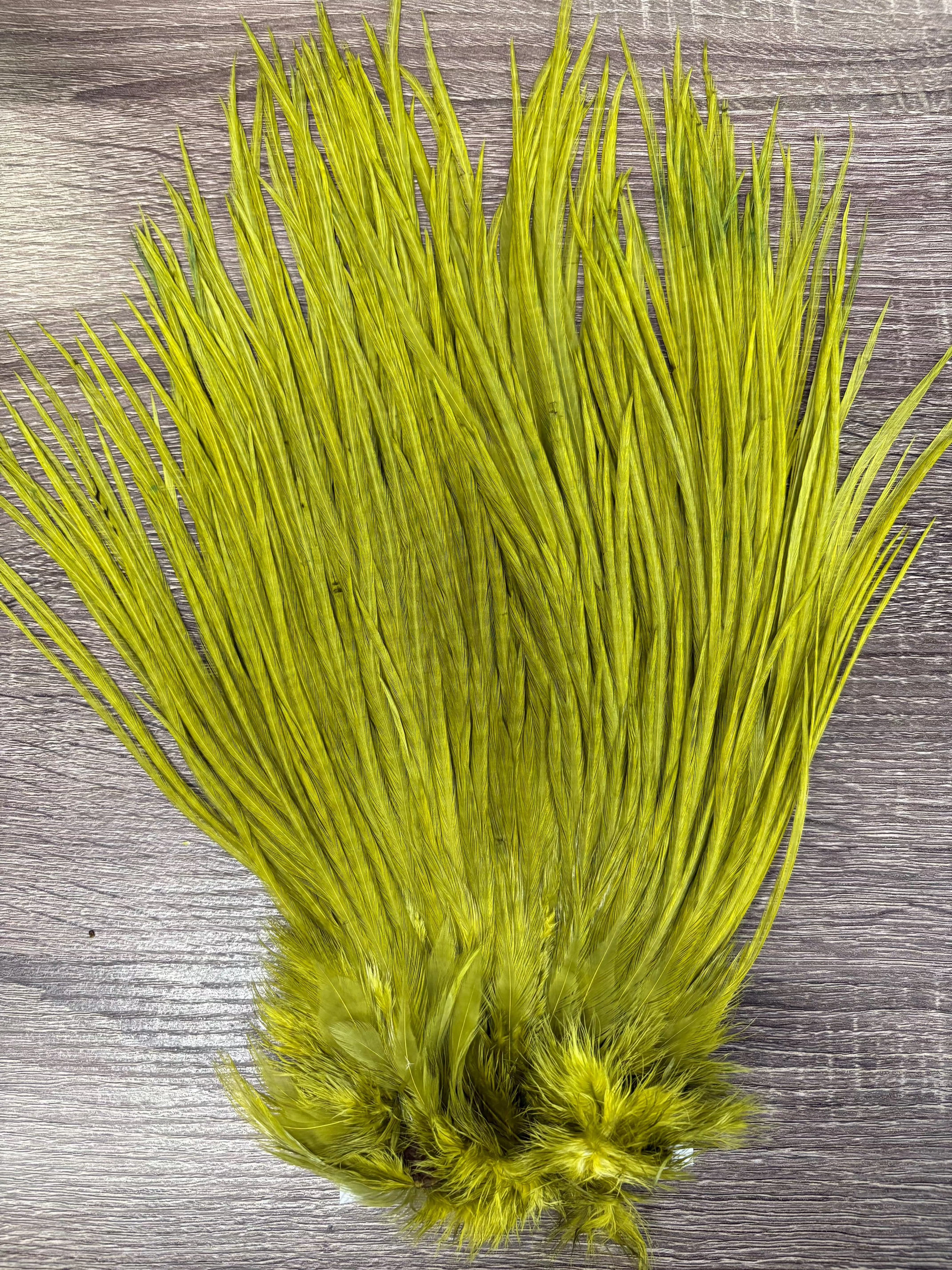 Ewing Saddle Hackle