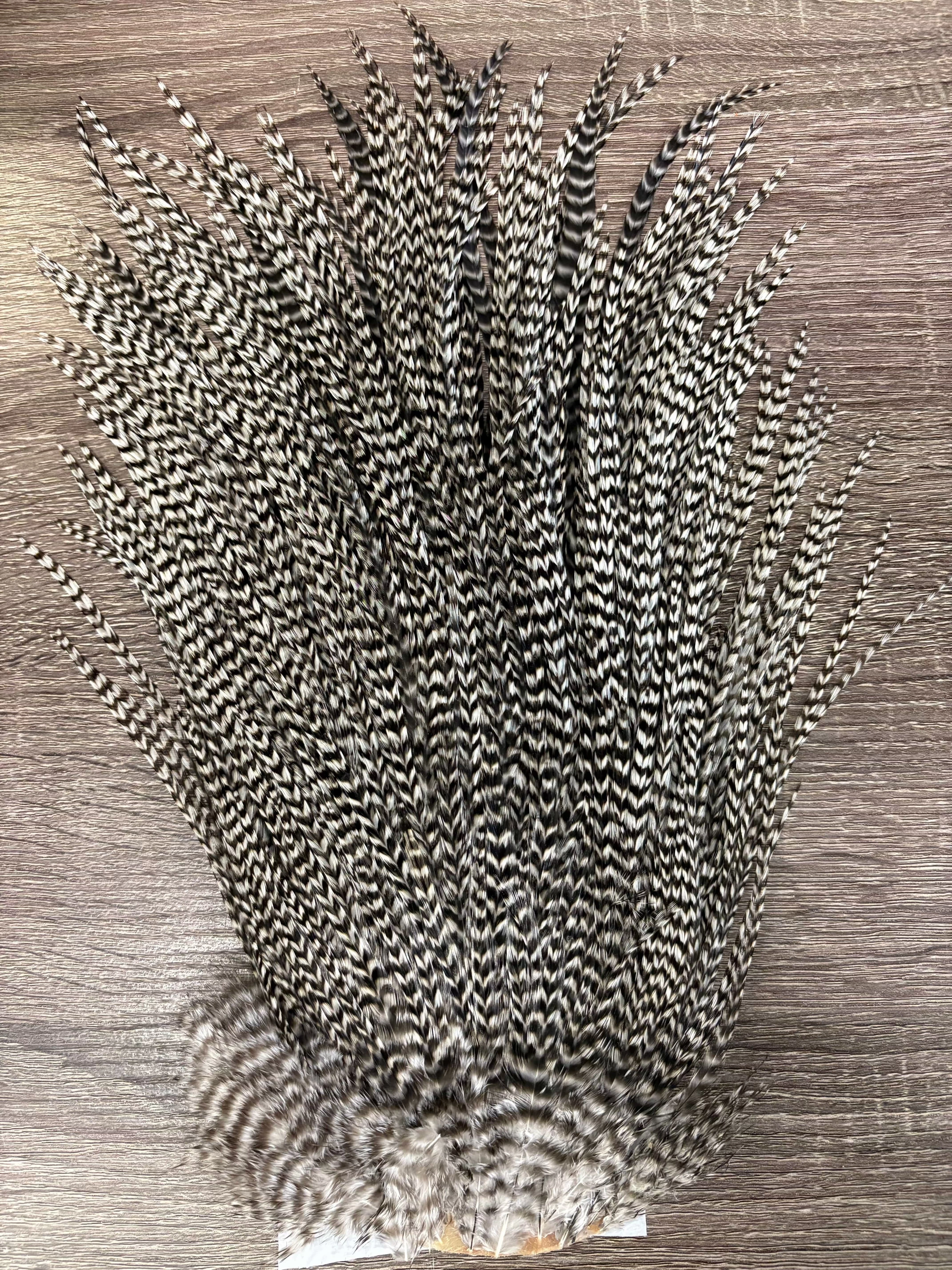 Ewing Saddle Hackle
