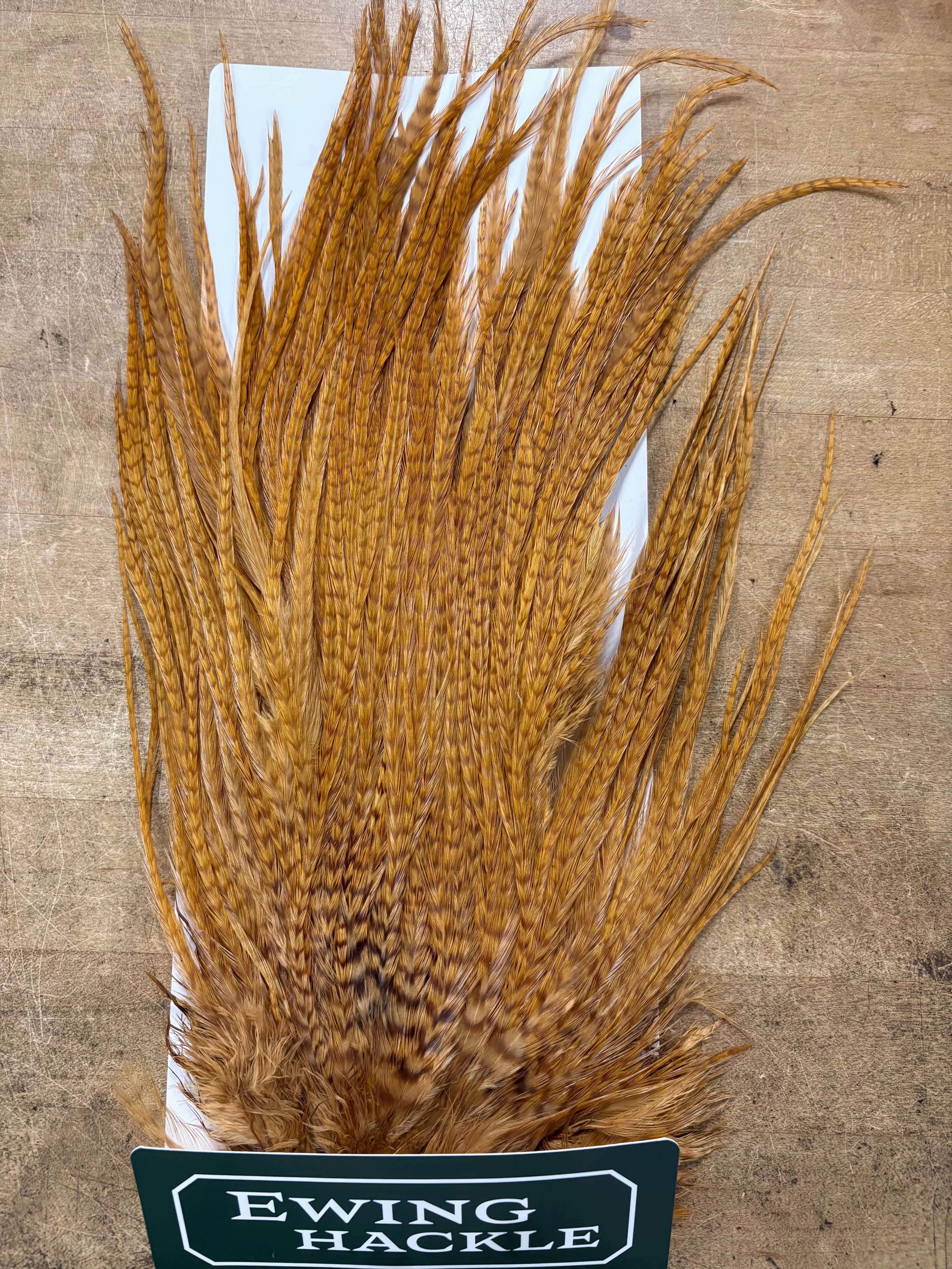 Ewing Saddle Hackle