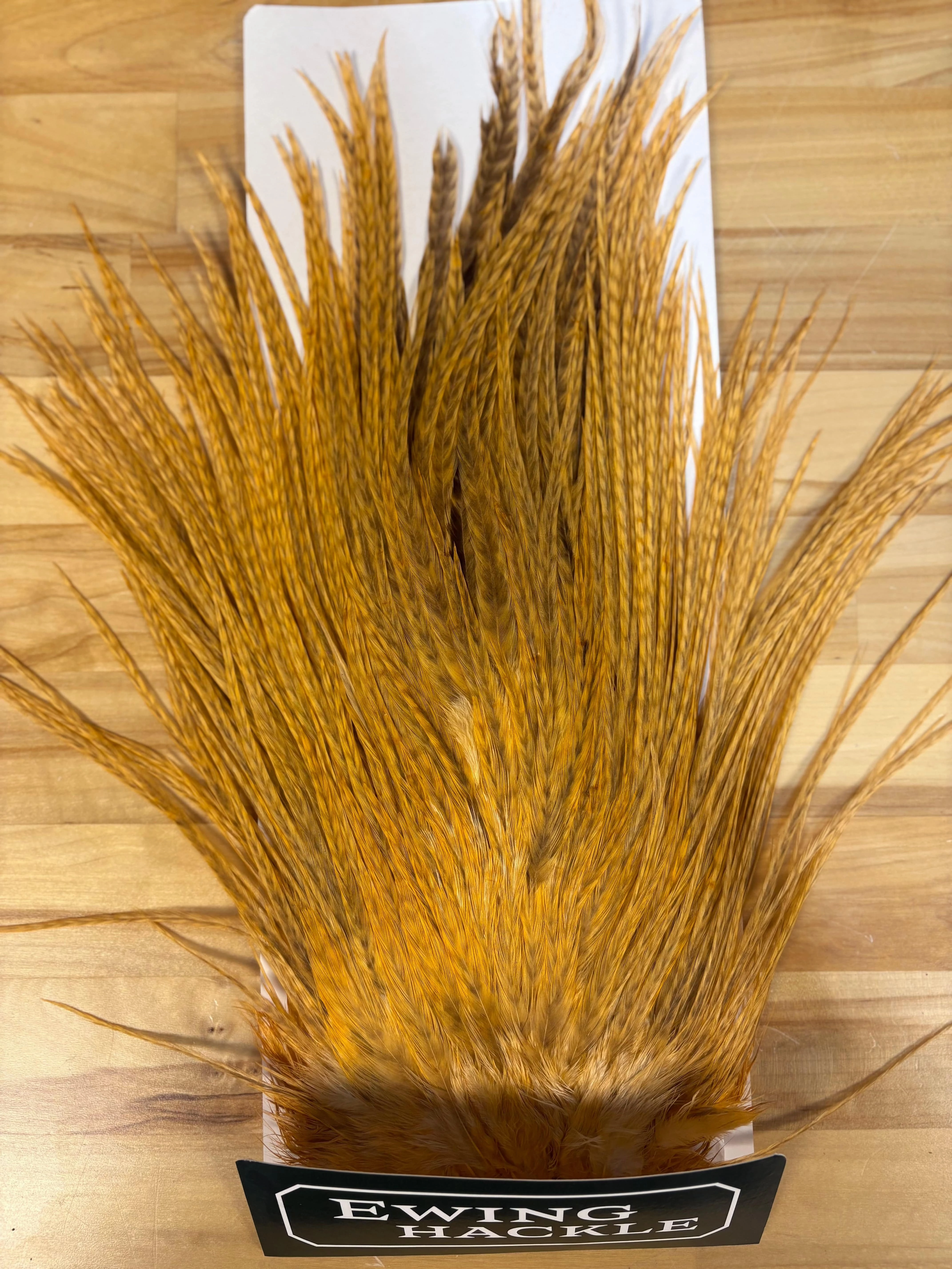 Ewing Saddle Hackle