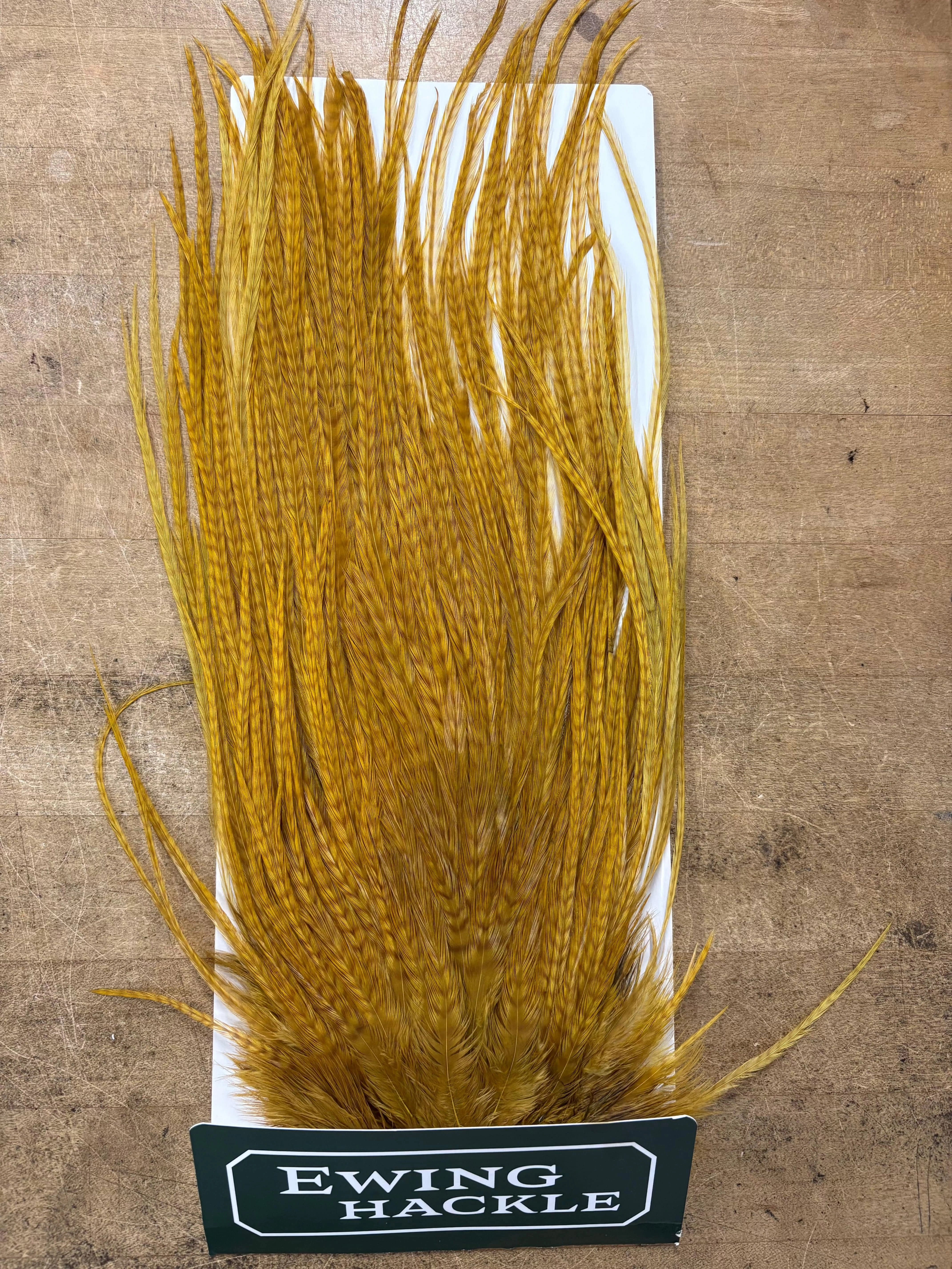 Ewing Saddle Hackle