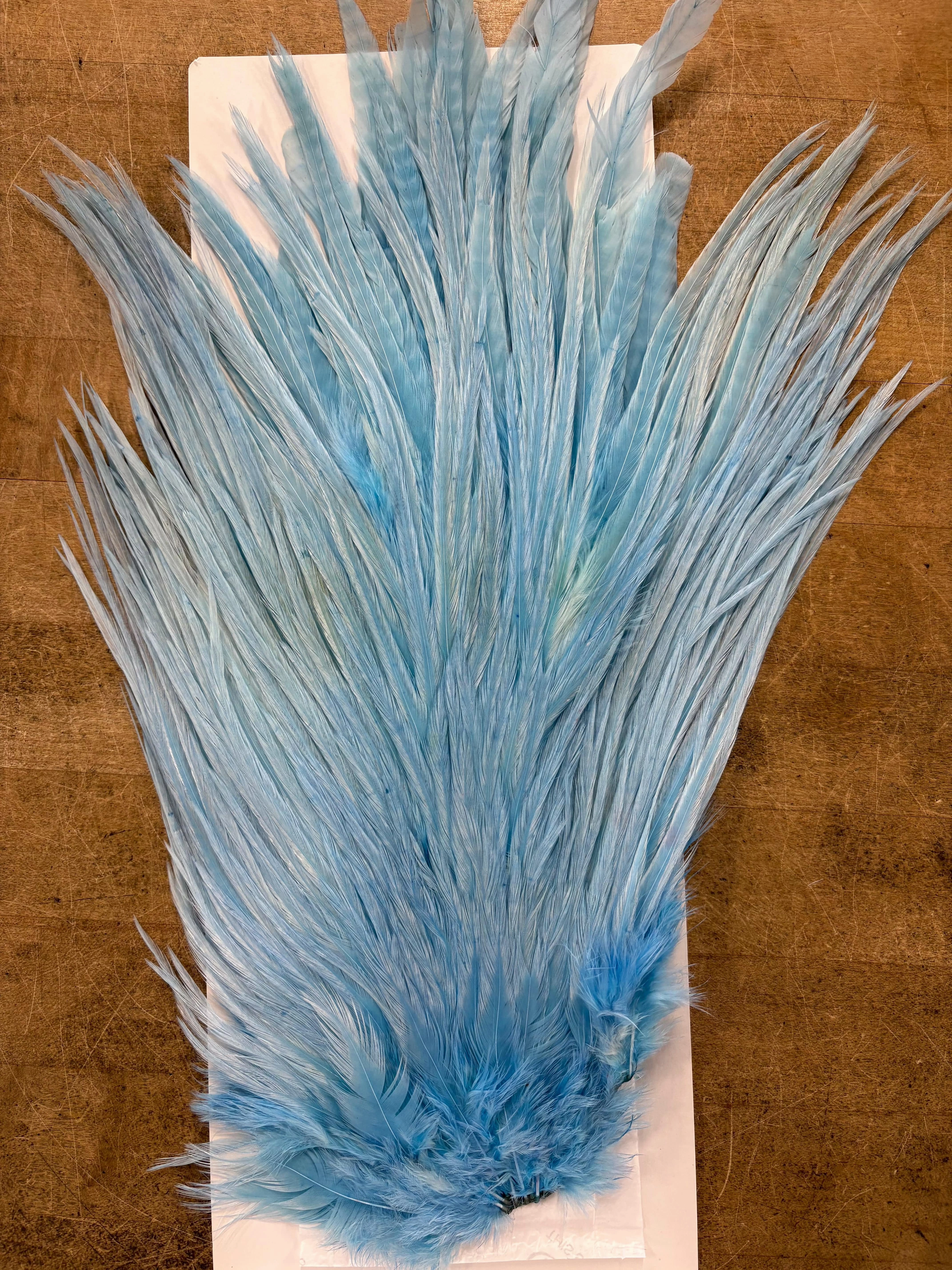 Ewing Saddle Hackle
