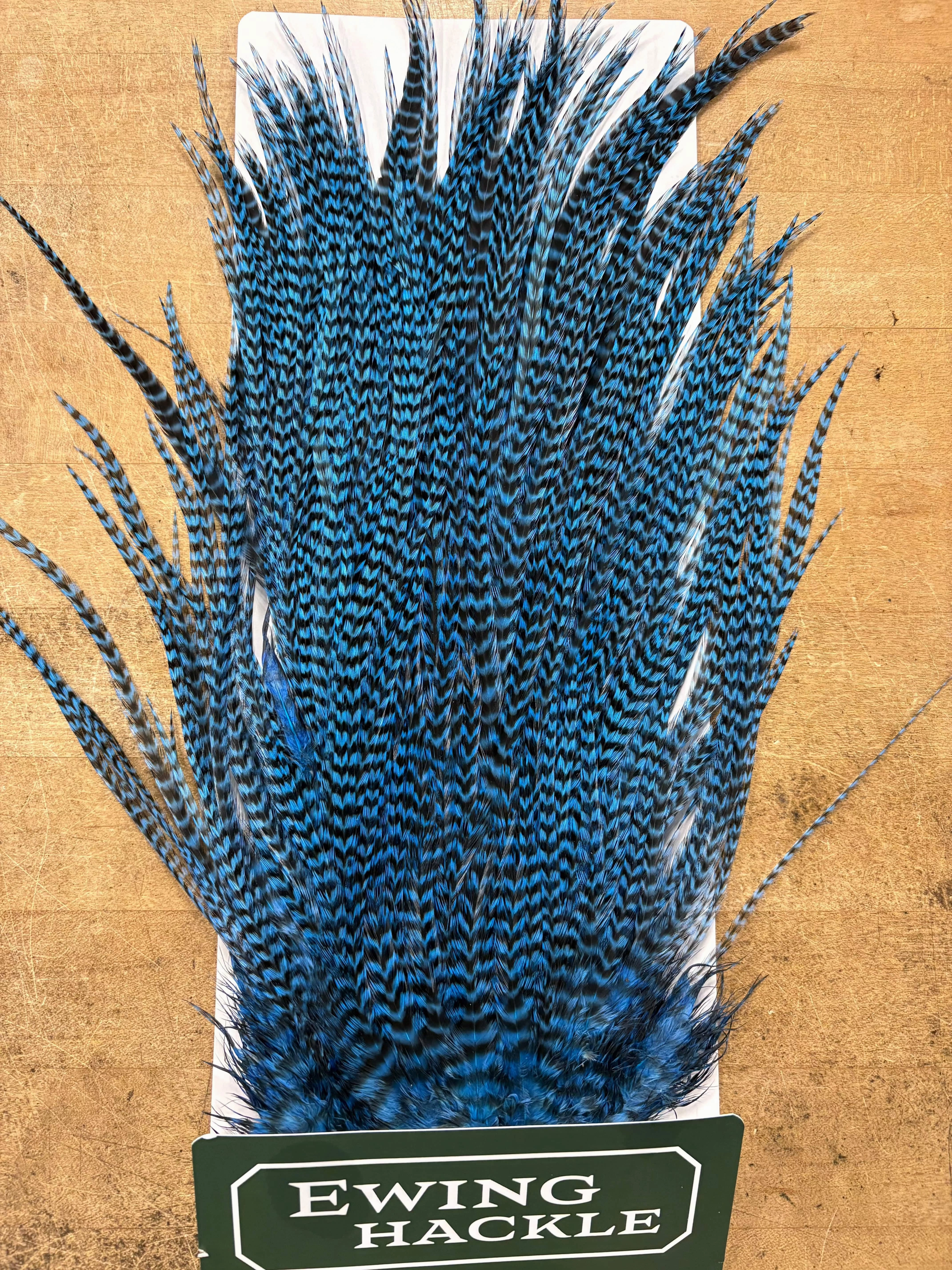 Ewing Saddle Hackle