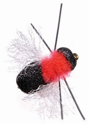 Fathead Beetle
