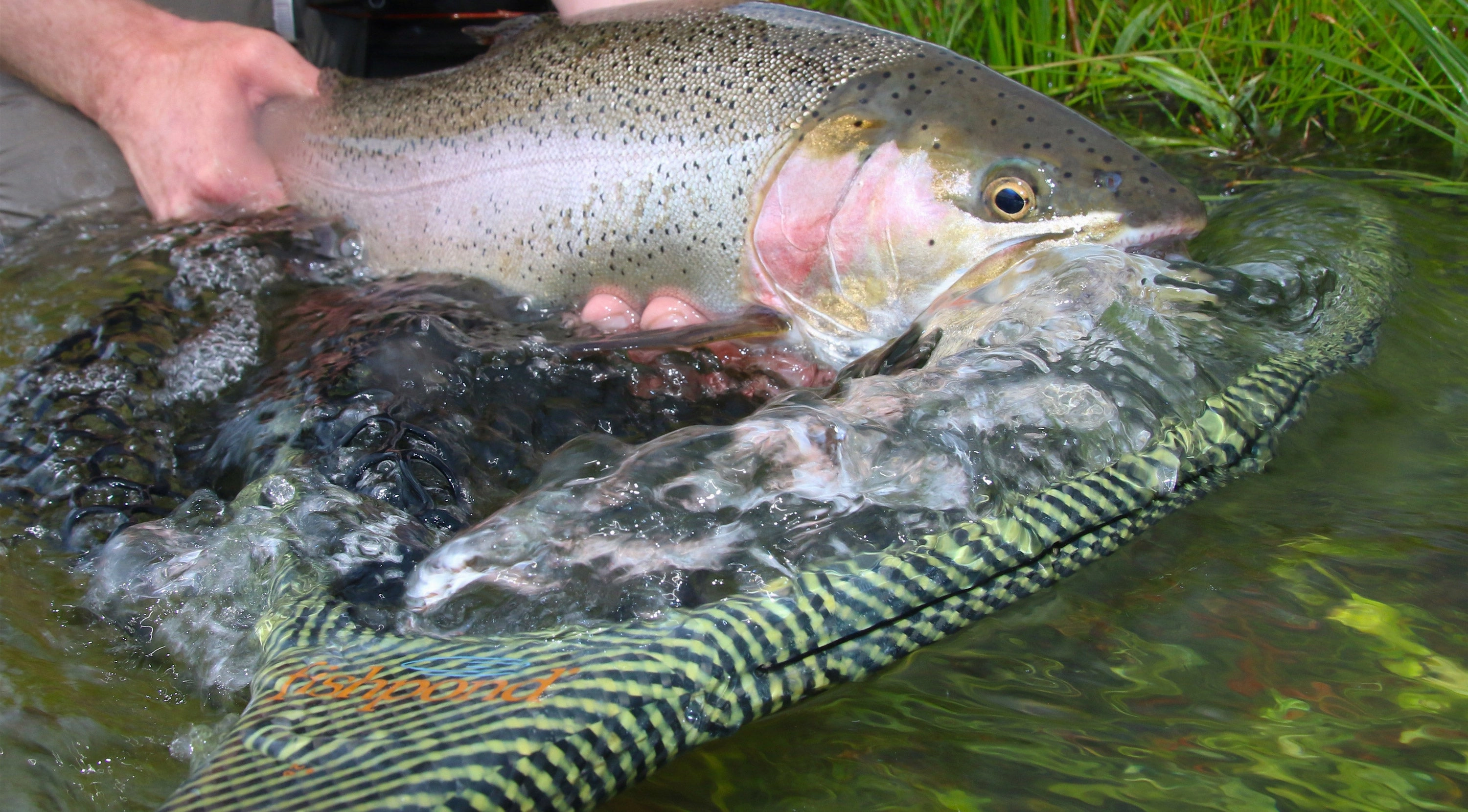 Fishpond Nomad El Jefe -  River Armor Net
